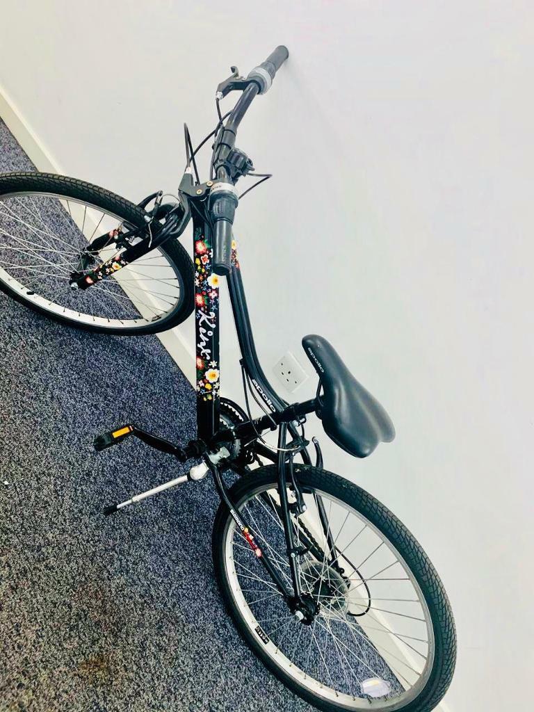 halfords apollo kinx